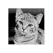 Pet Kat Hond Aangepaste Foto Rubberstempel (Afrduk)