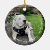 Pet Keepomwille Circular Grunge 2 Foto Keramisch Ornament (Voorkant)