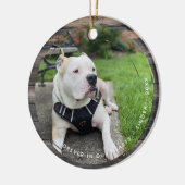 Pet Keepomwille Circular Grunge 2 Foto Keramisch Ornament (Links)