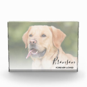 Pet Keepomwille   Memorial Fotoblokken