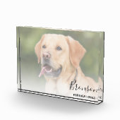 Pet Keepomwille | Memorial Fotoblokken (Rechts)