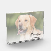 Pet Keepomwille | Memorial Fotoblokken (Links)