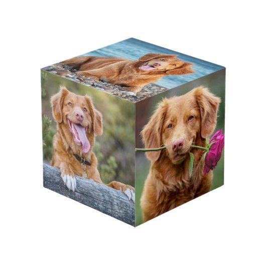 Pet Keepsake Puppy Dog Foto Kubus (Voorkant hoekig)