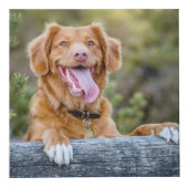 Pet Keepsake Puppy Dog Foto Kubus (Voorkant)