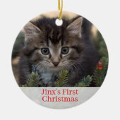 Pet Kittens Eerste kerstfoto Ornament (Voorkant)