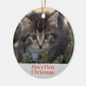 Pet Kittens Eerste kerstfoto Ornament (Links)