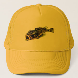 PET KUNST EN DESIGN STIJL