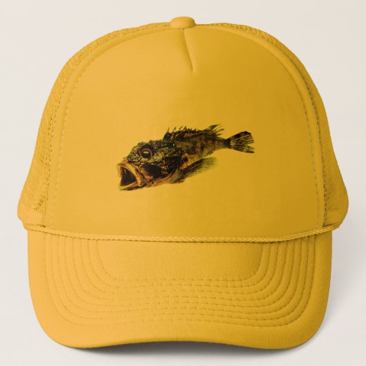 PET KUNST EN DESIGN STIJL (Voorkant)