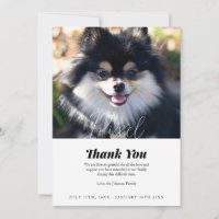 Pet Loss Bedankt voor je sympathiekaart