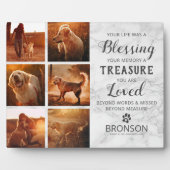 Pet Loss - Dog Memorial Photo Collage Fotoplaat (Voorkant)