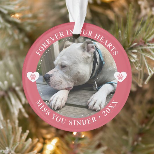 Pet Loss Memorial Keepsake Foto Modern Ornament (Boom)