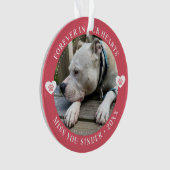Pet Loss Memorial Keepsake Foto Modern Ornament (voorkant)