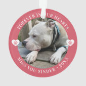 Pet Loss Memorial Keepsake Foto Modern Ornament (achterkant)