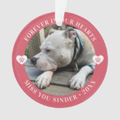 Pet Loss Memorial Keepsake Foto Modern Ornament (voorkant)