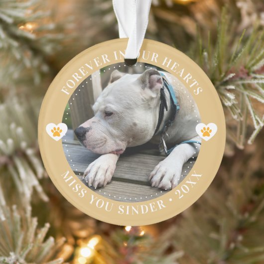 Pet Loss Memorial Keepsake Foto Modern Ornament (Boom)