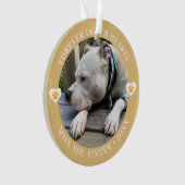 Pet Loss Memorial Keepsake Foto Modern Ornament (voorkant)