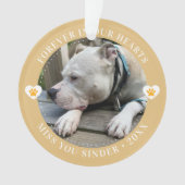 Pet Loss Memorial Keepsake Foto Modern Ornament (voorkant)
