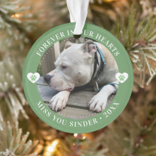 Pet Loss Memorial Keepsake Foto Modern Ornament