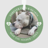 Pet Loss Memorial Keepsake Foto Modern Ornament (achterkant)