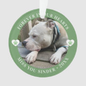 Pet Loss Memorial Keepsake Foto Modern Ornament (voorkant)