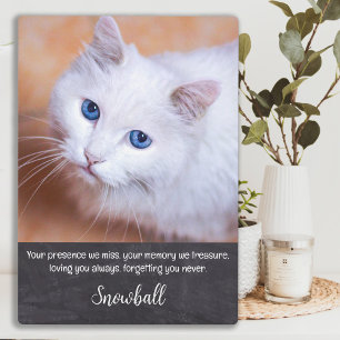 Pet Loss Quote Sympathy Kat Memorial Fotoplaat