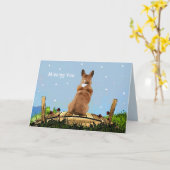 Pet Loss sympathie Kaart (Gele Bloem)