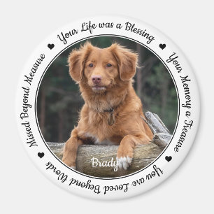 Pet Loss Sympathie Keepslag Pet Memorial Magneet