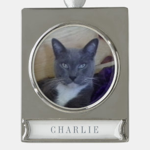 PET LOVE Banner Ornament / Zilver Verzilverd Banner Ornament