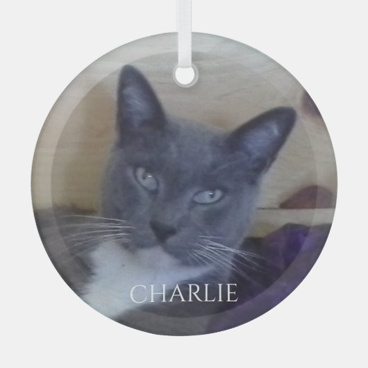 PET LOVE Glass Circle Ornament (Voorkant)