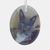 PET LOVE Glass Circle Ornament (Voorkant Rechts)