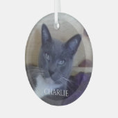 PET LOVE Glass Circle Ornament (Voorkant links)