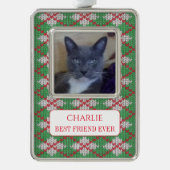 PET LOVE ingelijst Vert Ornament + Tekst / Xmas Kn (Voorkant)