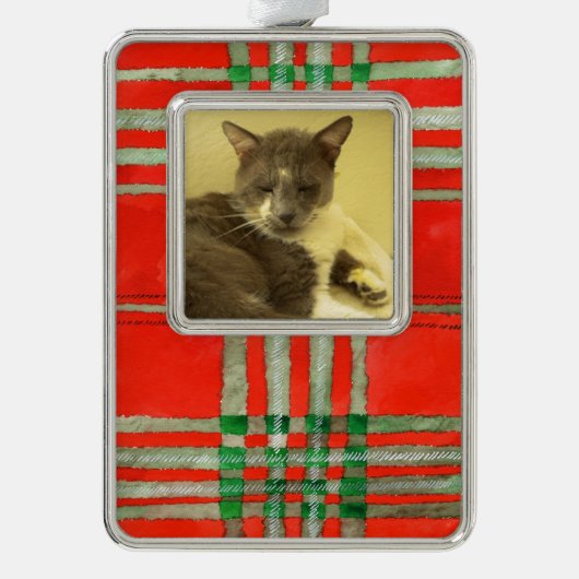 PET LOVE Ingelijste Verticaal Ornament / RedScott (Voorkant)