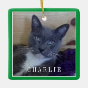 PET LOVE Keramiek Vierkant Ornament / Groen