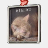 PET LOVE Premium Carré Ornement (Gauche)