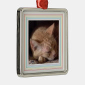 PET LOVE Premium Carré Ornement / Rainbow (Droite)