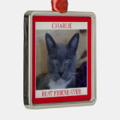 PET LOVE Premium Carré Ornement + Texte / Rouge (Droite)