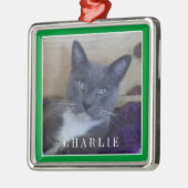 PET LOVE Premium Carré Ornement / Vert (Gauche)