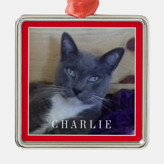 PET LOVE Premium Square Ornament - Rood (Voorkant)