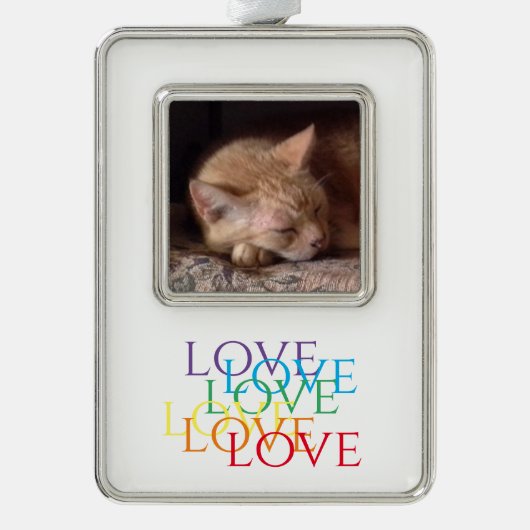 PET LOVE Verticaal ingelijst Foto Ornament (Voorkant)