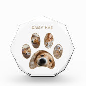 Pet Lovers Custom Gold Paw Print Name Collage Fotoblokken (Voorkant)