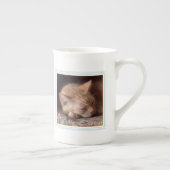 PET LOW Bone China Mug + Text / Rainbow (Droite)