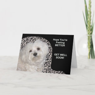 Pet (Maltees) Get Well Soon Kaart op zwart/wit