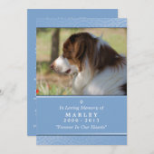 Pet Memorial 5x7 - Blue Rainbow Bridge (VROUW) Programma (Voorkant / Achterkant)