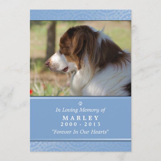 Pet Memorial 5x7 Light Blue Contited Poem Programma (Voorkant)