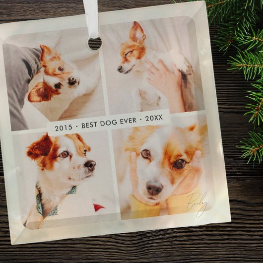 Pet Memorial Beste Hond Ooit Moderne Fotocollage Glas Ornament