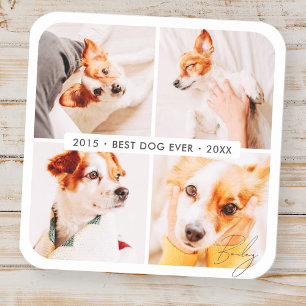 Pet Memorial Beste Hond Ooit Moderne Fotocollage Vierkante Sticker