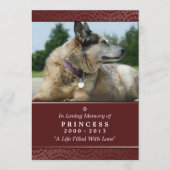 Pet Memorial Card 5"x7" Rainbow Bridge (mannelijk) Programma (Voorkant)