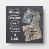 Pet Memorial - Cat Herembryo Foto Fotoplaat (Voorkant)