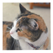 Pet Memorial Custom 4 Foto Kubus (Rechts)